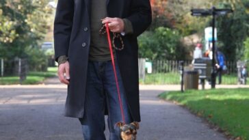 Cãozinho faz sucesso por andar apenas sob as duas patas traseiras