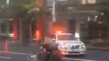 Homem foge da polícia usando carrinho de compras