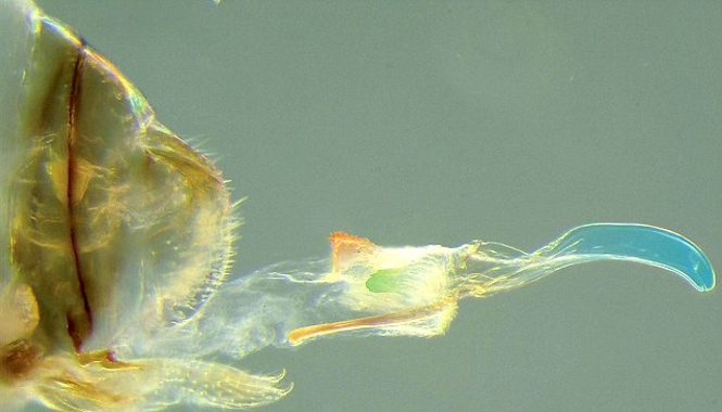 imagem11-07-2019-15-07-39